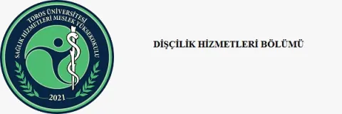 Bölüm Başkanı