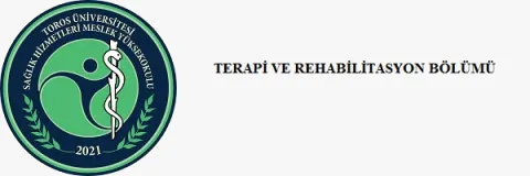 Bölüm Başkanı