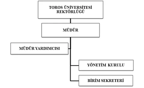 TORSEM Organizasyon Şeması