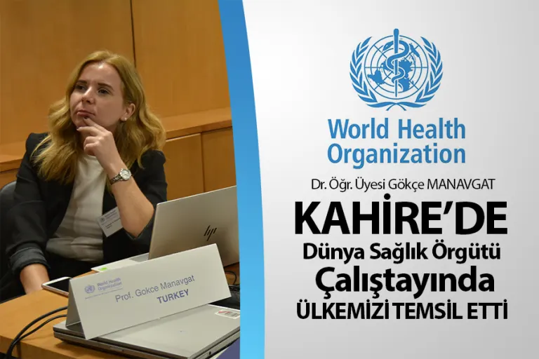 Kahire'de Sağlıkta Finansal Korumanın Sağlanması Çalıştayı