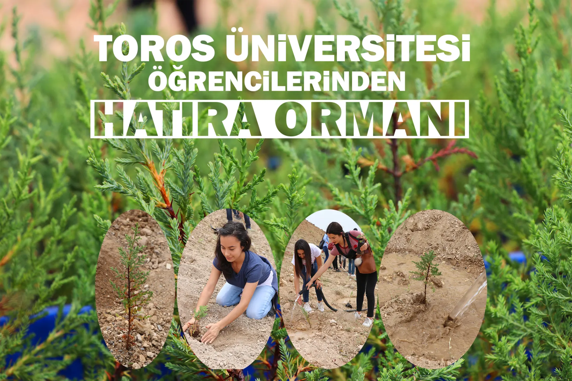 Toros Üniversitesi Öğrencilerinden Hatıra Ormanı