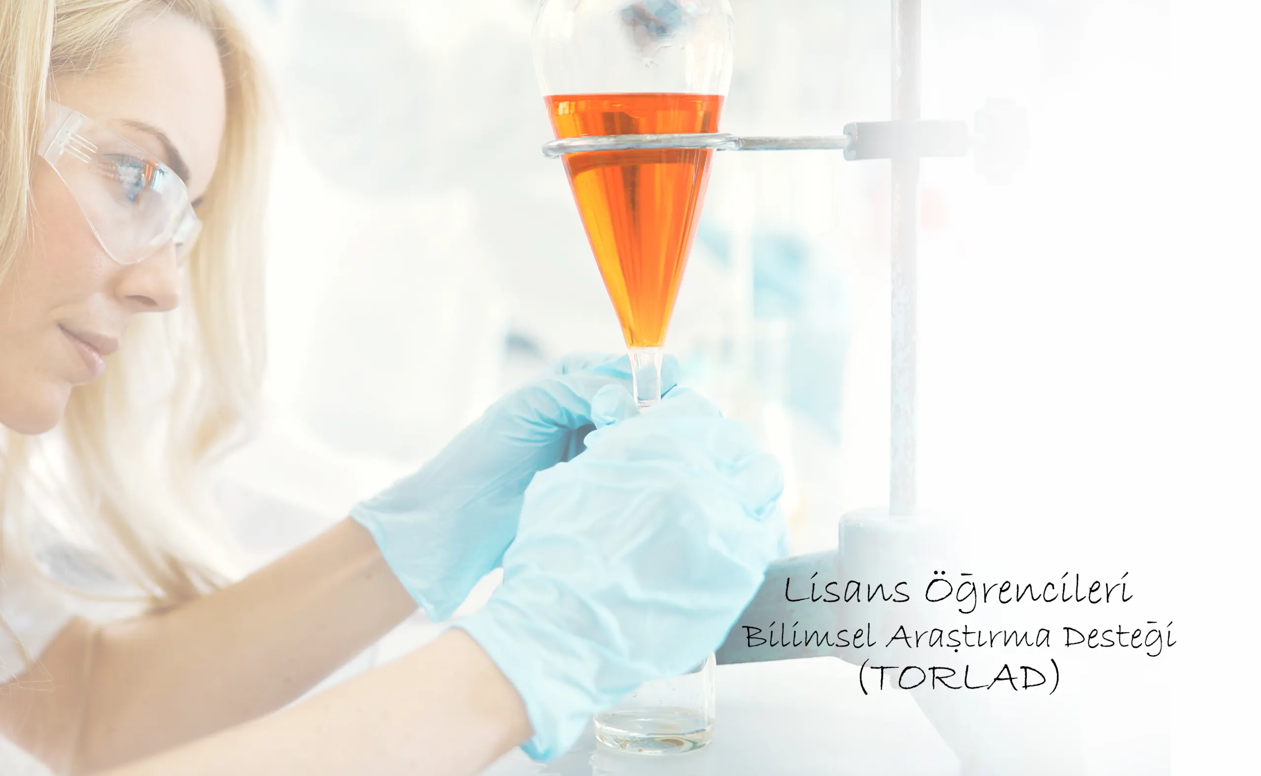 Undergraduate Students  Scientific Research Support