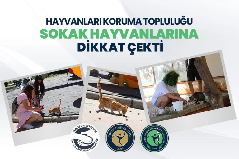 Hayvanları Koruma Topluluğu Sokak Hayvanlarına Dikkat Çekti