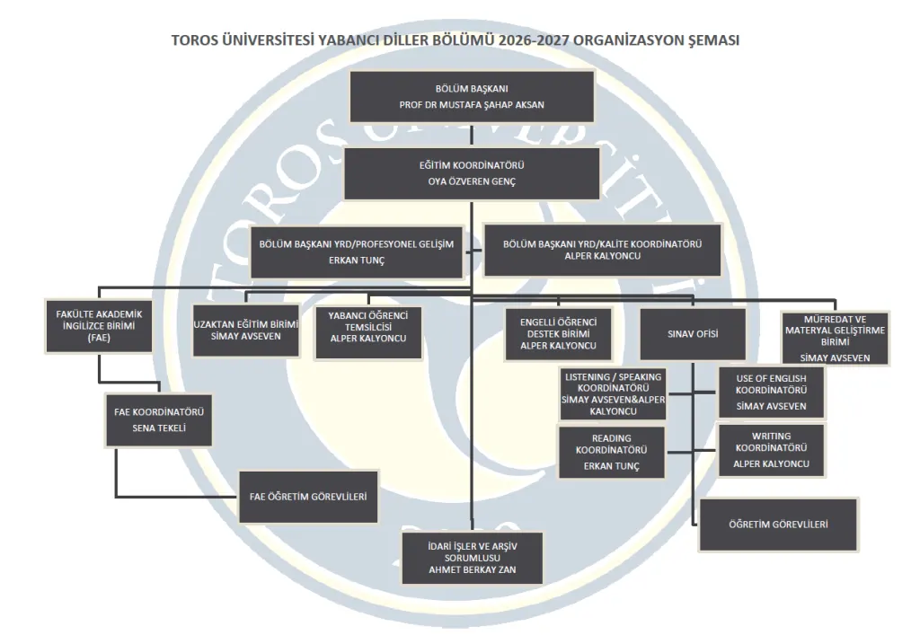 Organizasyon Şeması