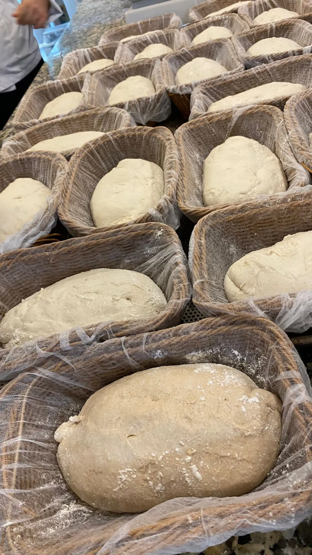 Gastronomi ve Mutfak Sanatları Bölümü Öğrencileri Gattini’de