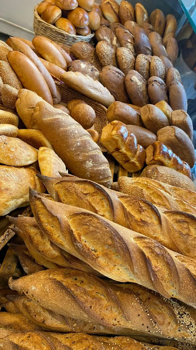 Gastronomi ve Mutfak Sanatları Bölümü Öğrencileri Gattini’de