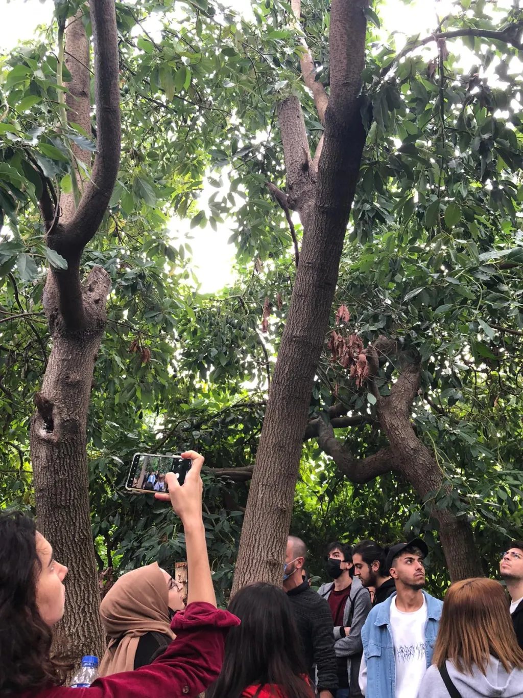 Toros Üniversitesi Öğrencilerinden Teknik Gezi