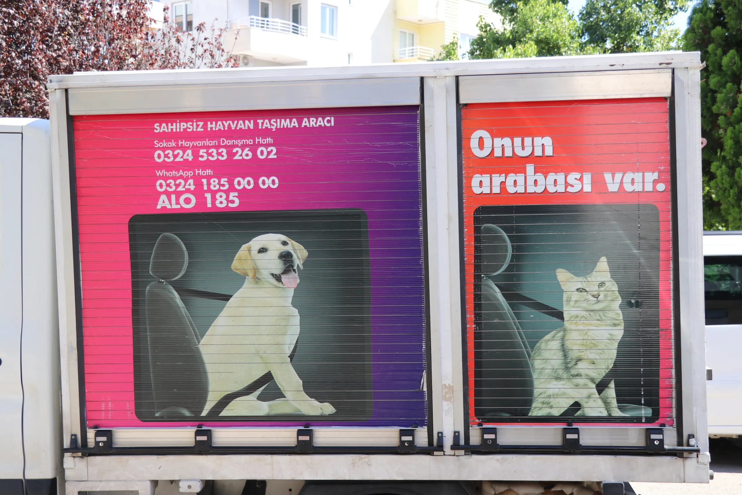 Hayvanları Koruma Topluluğu Sokak Hayvanlarına Dikkat Çekti