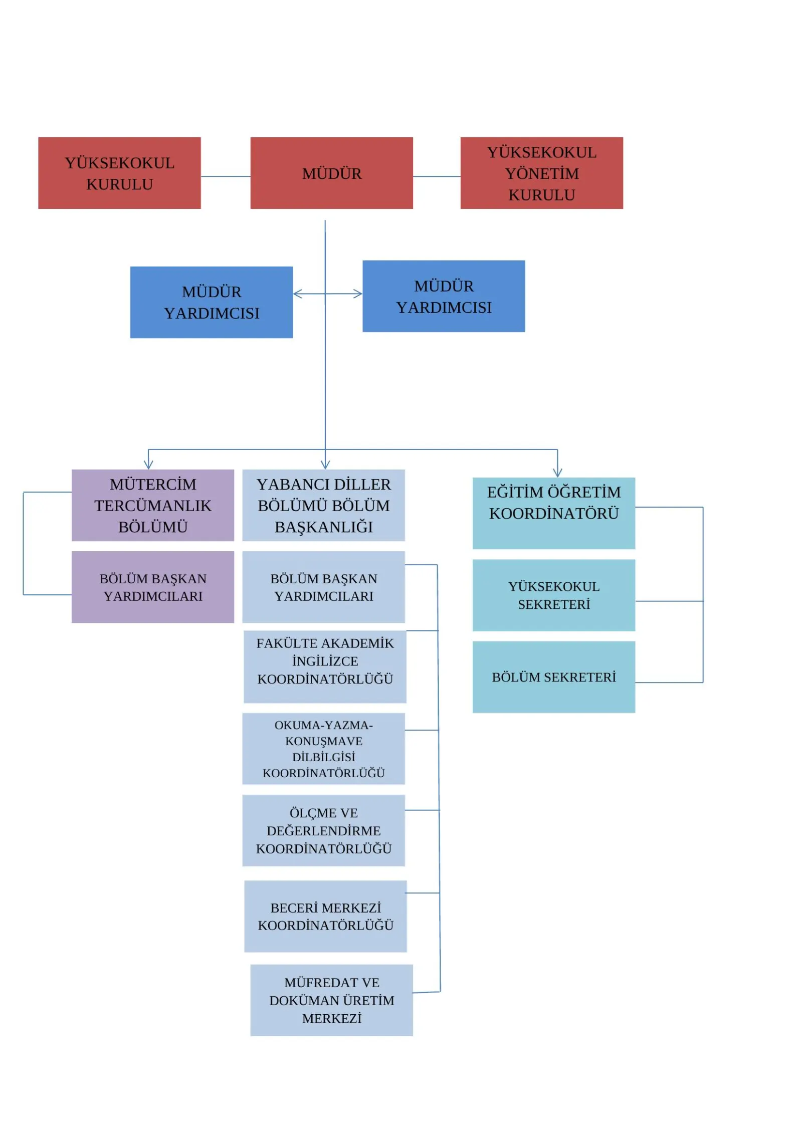 Organizasyon Şeması