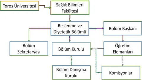 Organizasyon ve Karar Alma Süreci