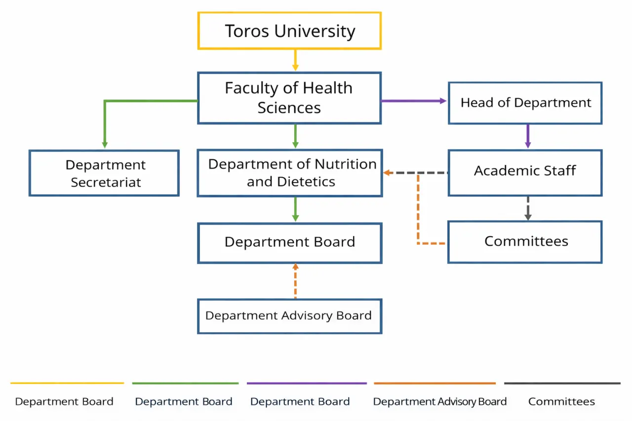 Organizational Structure And Decision-making Process