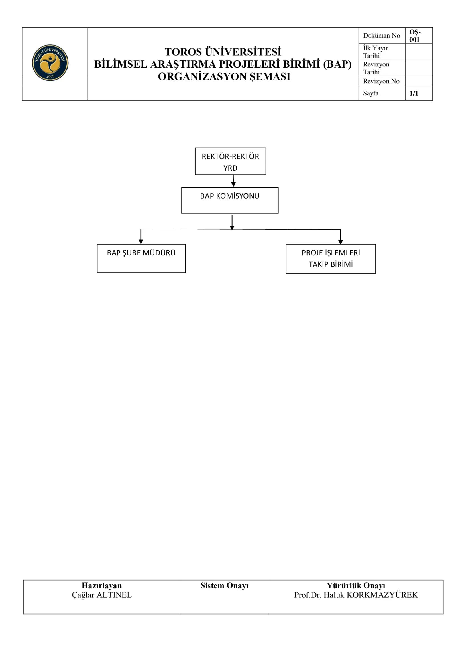 Organizational Chart