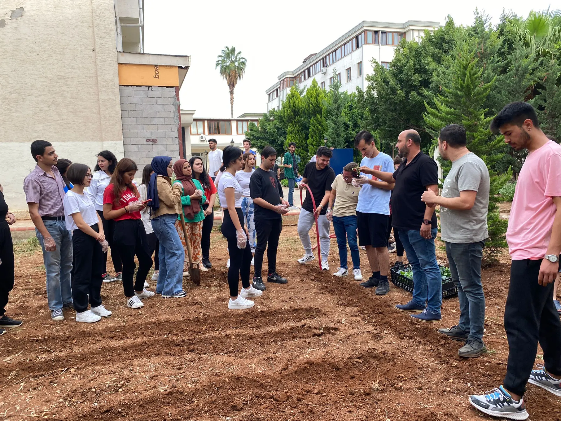 Toros Üniversitesi’nde Fideler Toprakla Buluştu Toros Üniversitesi’nde Fideler Toprakla Buluştu