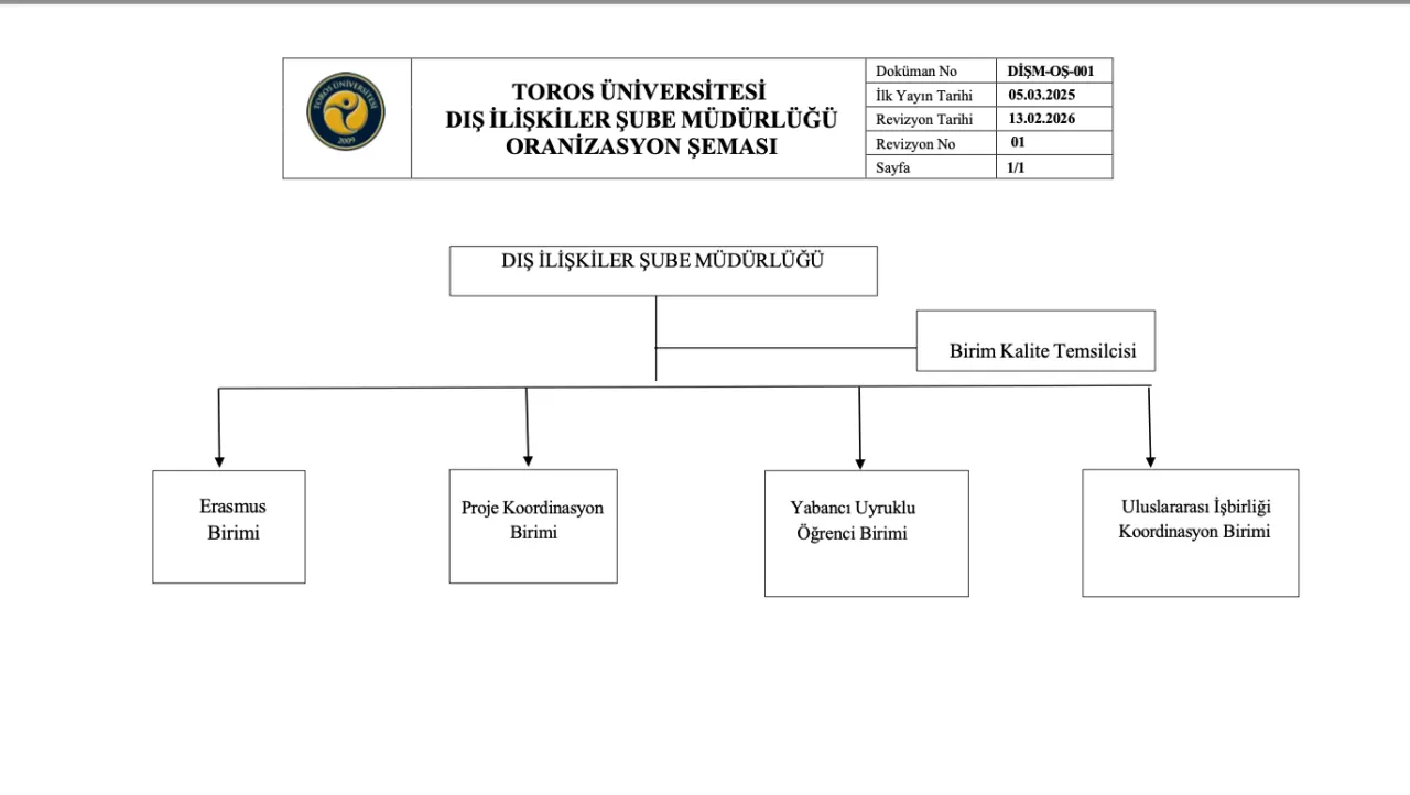 Organizasyon Şeması