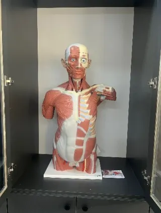 Laboratuvarlar