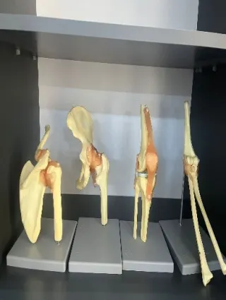 Laboratuvarlar