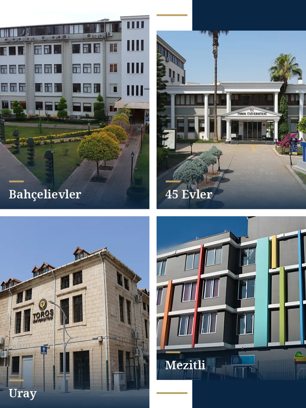 Anasayfa tanıtımı